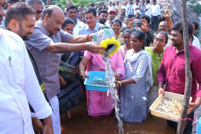 తాండవ రిజర్వాయర్‌లో 10 లక్షల చేప పిల్లల విడుదల