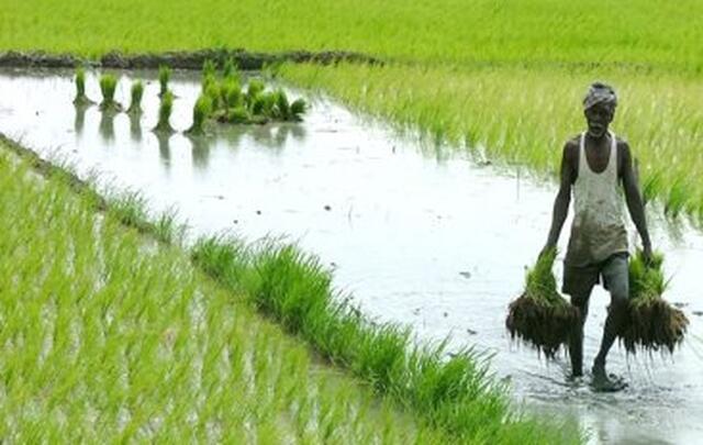 ఏడాదిలో వ్యవసాయ, అనుబంధ రంగాల్ని గాడిలో పెట్టాం