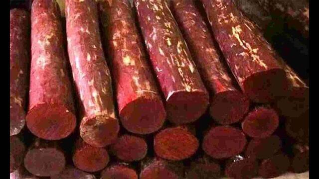 ఎర్ర చందనం రైతులకు ప్రోత్సాహం