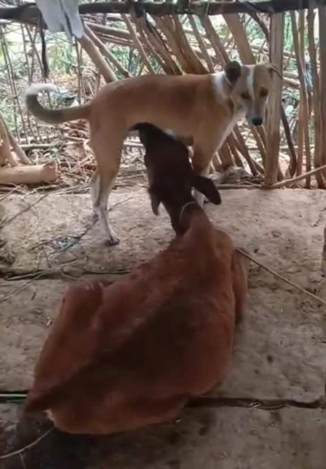 బ్రహ్మంగారి కాలజ్ఞానం పుట్టిన సీమలో చిత్రం!
