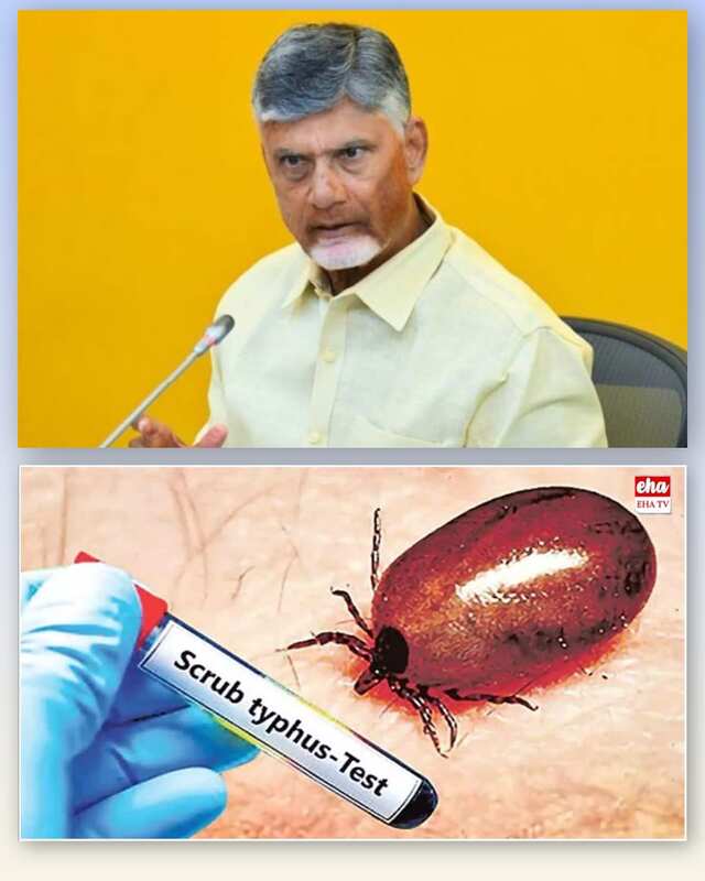 స్క్రబ్ టైఫస్ కేసులపై సీఎం చంద్రబాబు సమీక్ష