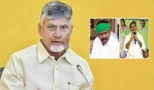 దుబాయ్ నుంచి హైదరాబాద్ చేరుకున్న సీఎం చంద్రబాబు