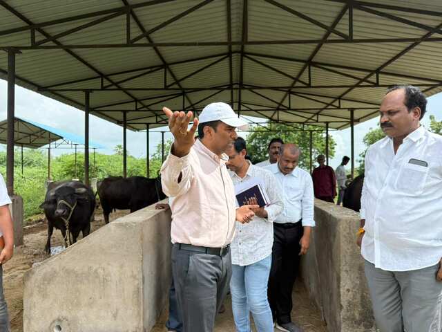 పాడి పరిశ్రమ అభివృద్ధికి కృషి
