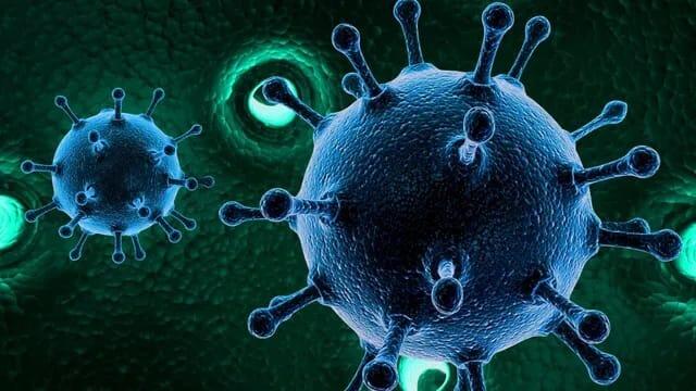 ఏపీలో కరోనా కలకలం.. 5 కేసులు నమోదు