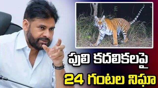 పులి సంచారంపై పవన్ సమీక్ష