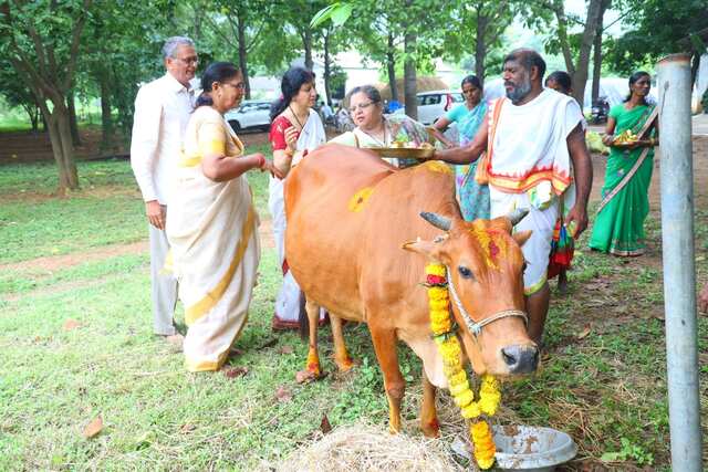 సింహాచలంలో ఘనంగా గోమాత పూజ