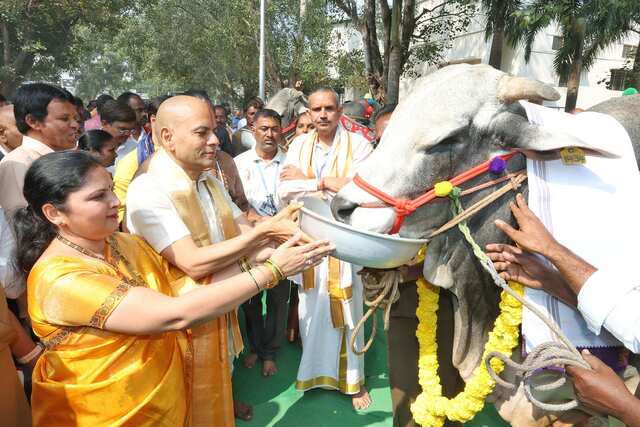 శ్రీ వేంకటేశ్వర గోసంరక్షణశాలలో ఘ‌నంగా గో పూజ‌