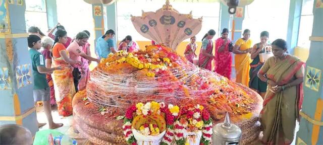 ఘనంగా నాగుల చవితి.. పుట్టల వద్ద భక్తుల బారులు