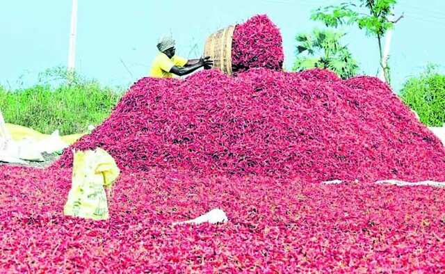 మిర్చి.. మంటెత్తిస్తోంది!