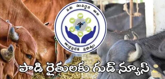 పాడి రైతులకు రూ.6,000 నుంచి రూ.30 వేలు!
