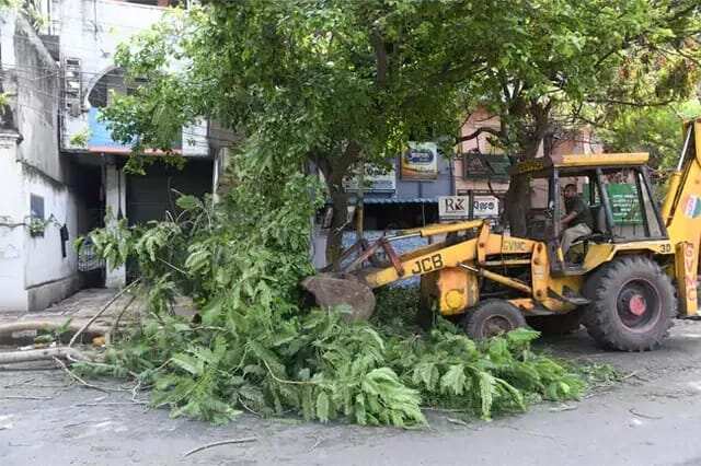 భారీగా కూలిన చెట్లు.. యుద్ధప్రాతిపదికన పనులు