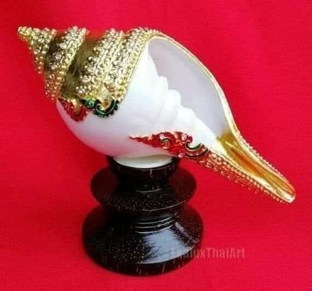 ఇంట్లో శంఖం ఉంటే లైఫే మారిపోతుంది!