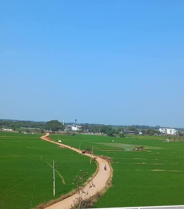 రైతుల పంటలకు వరంగా AI
