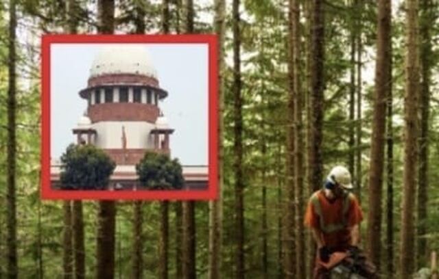 చెట్లను నరకడం కూడా హత్యే
