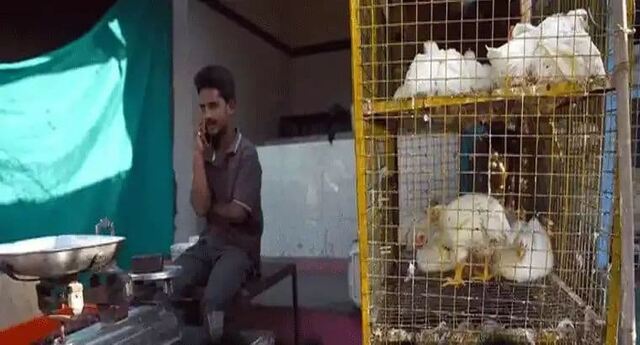 చికెన్ ఢమాల్.. భారీగా తగ్గిన ధరలు