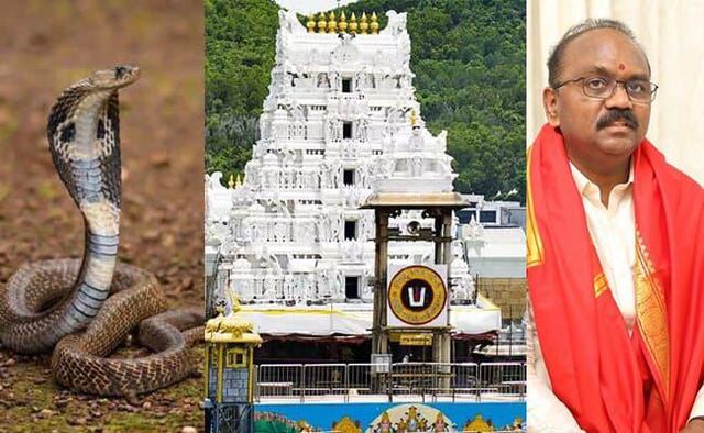 టీటీడీ ఈవో బంగ్లాలో పాము!?