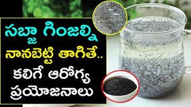 సబ్జా సైజు చిన్నదే.. అన్ లిమిటెడ్ ప్రయోజనాలు!