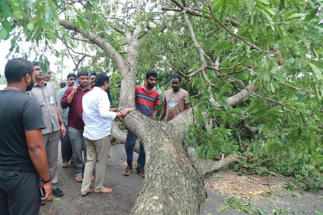 కూలిన భారీ చెట్లు.. సహాయక చర్యల్లో మంత్రి సుభాష్