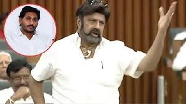 అసెంబ్లీలో ఎమ్మెల్యే బాలకృష్ణ సీరియస్‌