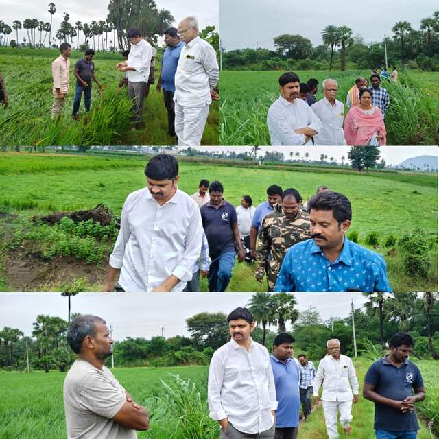మంత్రి లోకేష్ ఆదేశాల మేరకు వర్షాలకు దెబ్బతిన్న పొలాల పరిశీలన