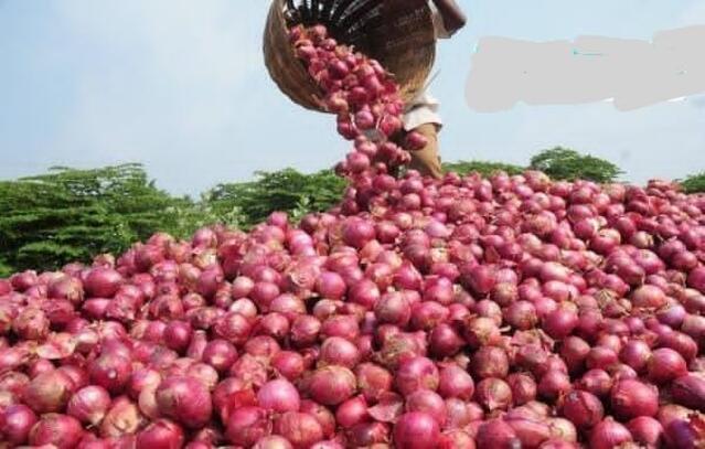ఘాటెక్కిన ఉల్లి.. భారీగా పెరిగిన ధరలు