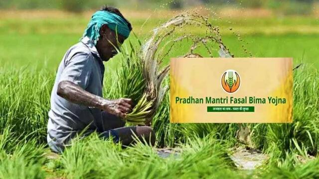 వరికి బీమా గడువు 15 వరకే!