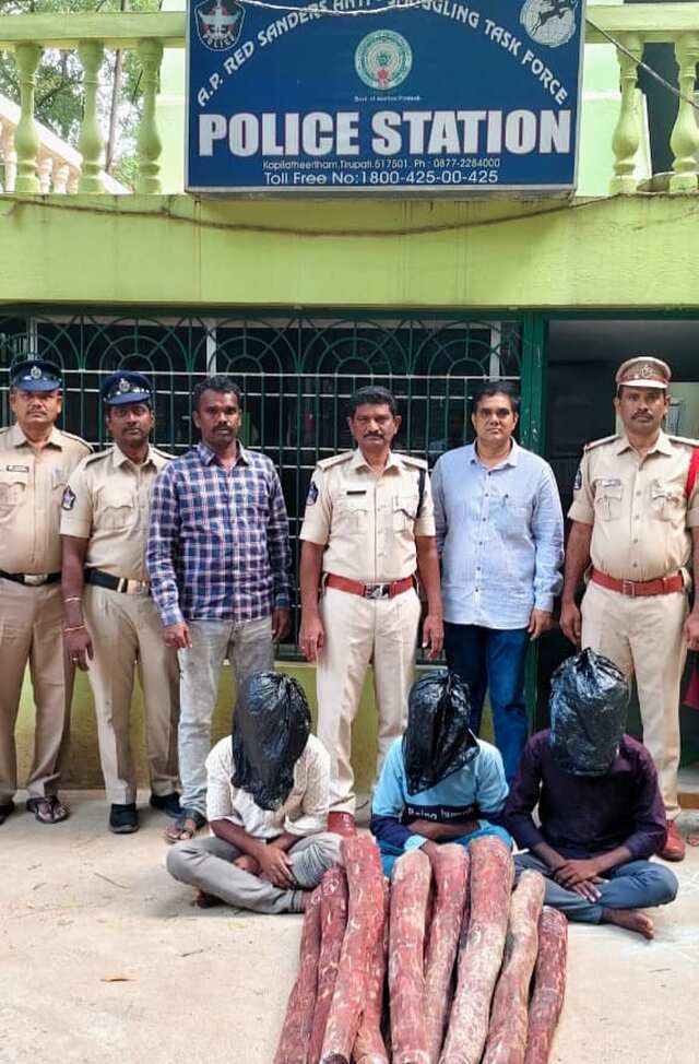 పవన్ ఆదేశాలతో ఎర్రచందనంపై ఉక్కుపాదం!
