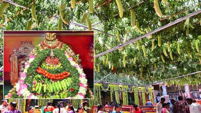 ఇంద్రకీలాద్రిపై రెండో రోజు శాకంబరీ దేవి ఉత్సవాలు