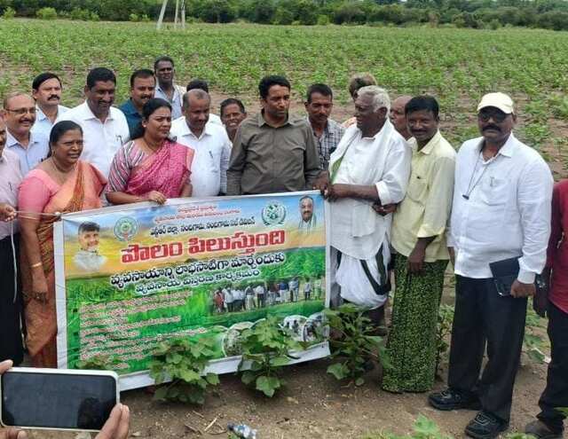పంట మార్పిడితో ప‌దిల‌మైన ఆదాయం