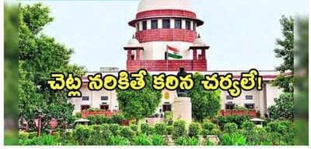 చెట్లు నరికితే.. లక్ష ఫైన్..