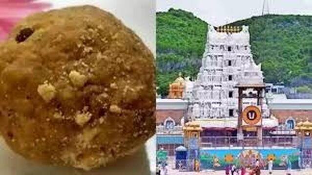 తిరుమల లడ్డు కల్తీ నెయ్యి కేసులో ముగిసిన సిట్ విచారణ