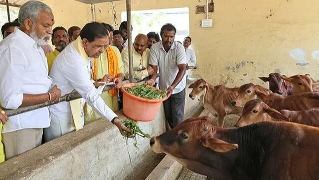 టీటీడీ ఆధ్వర్యంలో గోకులాష్టమి 4న