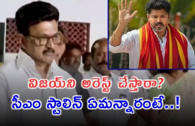 విజయ్ అరెస్టుపై తమిళనాడు సీఎం
